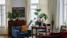How to Grow and Care for Monstera Deliciosa