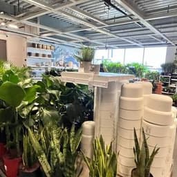 What Time Does IKEA Open & Close in 2025
