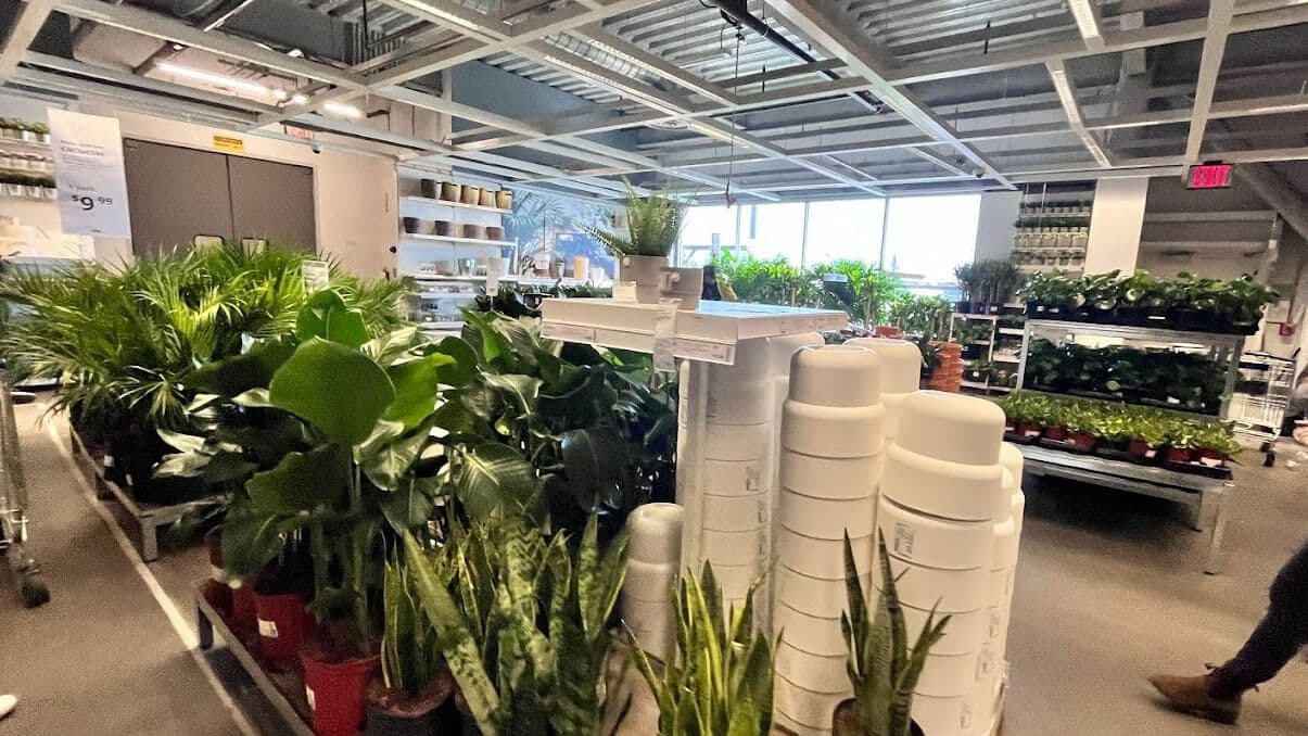 What Time Does IKEA Open & Close in 2025