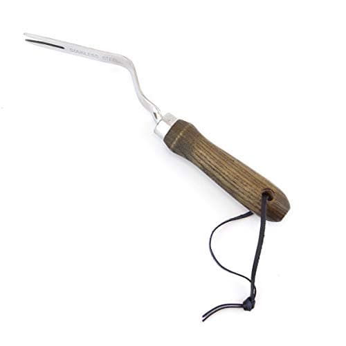 Burpee 12" Stainless Steel Weeder | Durable Long Lasting Garden Tool | Leather Wrist Strap 5" Handle, Walnut