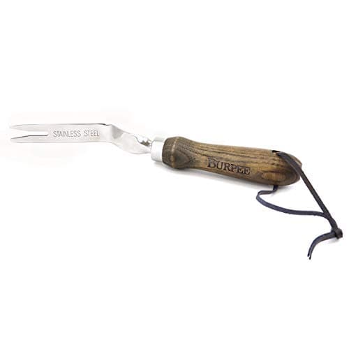 Burpee 12" Stainless Steel Weeder | Durable Long Lasting Garden Tool | Leather Wrist Strap 5" Handle, Walnut
