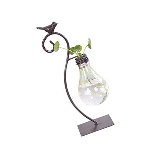 Healifty Plastic Planter Bulb Vase Hydroponics Plants Terrarium Flowerpot Decorative Pottery Planter for Any Occasion, Easy to Do and Fun to Grow