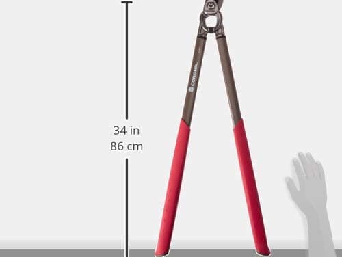 Corona SL 7280 Forged Pro Cut Bypass Lopper, 2-Inch Orange