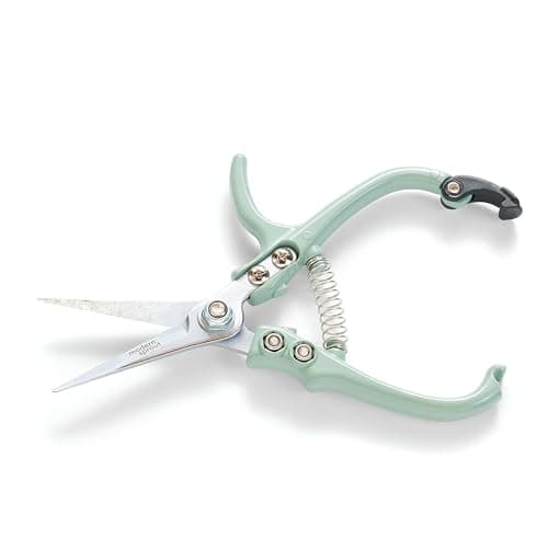 Modern Sprout Pruning Shears - Herb Snipping Scissors- Lightweight Gardening Tools W/Easy Lock - Flower Cutter Garden Shears - Carbon Steel Blade + Plastic-Free Reusable Holster (Green, 1-Pack)
