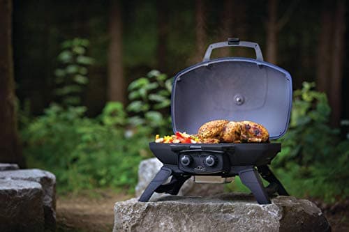Napoleon TravelQ 285 Portable Propane Gas Grill, Blue - 2 Burners, For Tailgating, Camping, And Small Outdoor Spaces