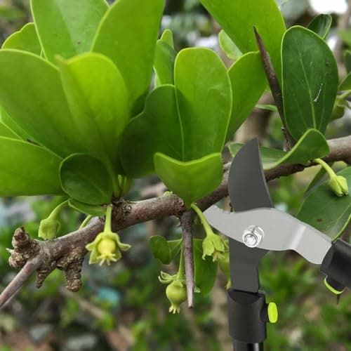 28" Garden Bypass Lopper with Steel Blade, Tree Trimmer Branch Cutter for 1.5’’ Cutting Capacity