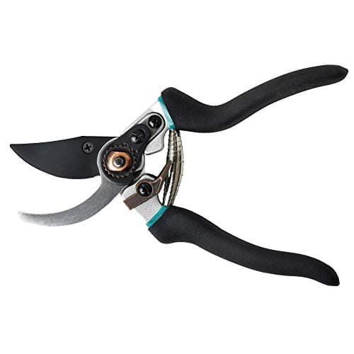 Flora Guard Pruning Shears 8.6" Bypass Garden Shears, Professional Ultra Sharp Sk5 Steel Garden Clippers, Heavy Duty Durable Ergonomic handle Plant Cutting Scissors Tools, Yard Hedge Branch Trimmer