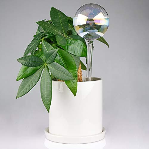 [2 PCS] Light Iridescent Rainbow Gradient Color Clear Glass Self-Watering System Spikes, Automatic Plant Waterer Bulbs