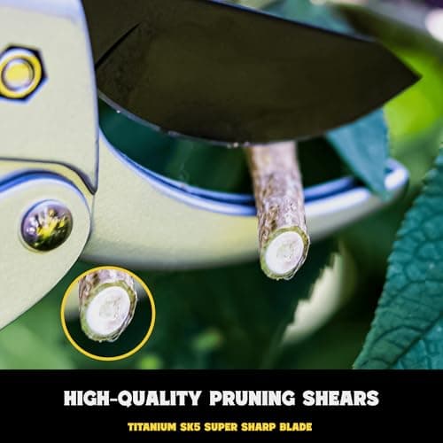 Ratchet Pruning Shears for Gardening Heavy Duty SK5 Japanese Steel Titanium coated Blades 3X Easier Cutting Ideal for Weak Hands & Arthritis. Anvil Pruner, Secateurs, Hedge Shears, Best Garden Gifts