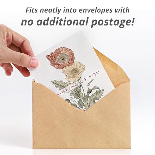 Bentley Classic Vintage Art Poppy Packets, Thinking of You Flanders Corn Seeds, Thoughtful Illustrated Flower Design, Eco-Friendly Hand Out, Sentimental Gift, 25 Pack