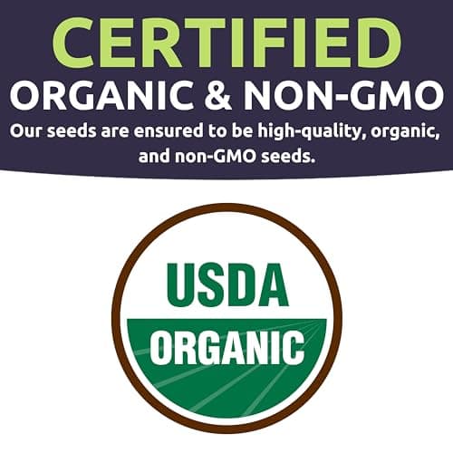 Organic Arugula Seeds - 2 SEED PACKETS! - Over 1,000 Open Pollinated Non-GMO USDA Organic Seeds