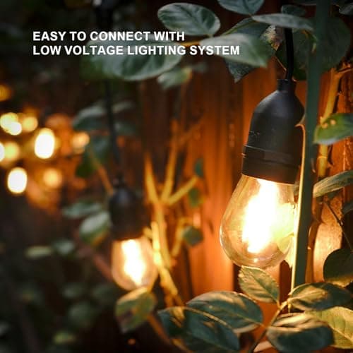 GOODSMANN LED Low Voltage String Lights 12V AC 50FT 10PCS 2W Bulbs 135 Lumens Hanging Landscape Lighting 2800K String Weatherproof Decorative Lights for Patio Lights