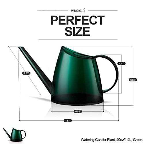 WhaleLife Indoor Watering Can for House Bonsai Plants (1.4L, Green)