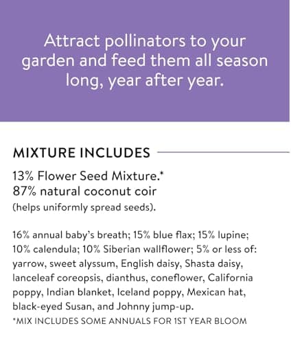 Burpee Wildflower 25,000 Bulk, 1 Bag | 18 Varieties of Non-GMO Flower Seeds Pollinator Garden, Perennial Mix