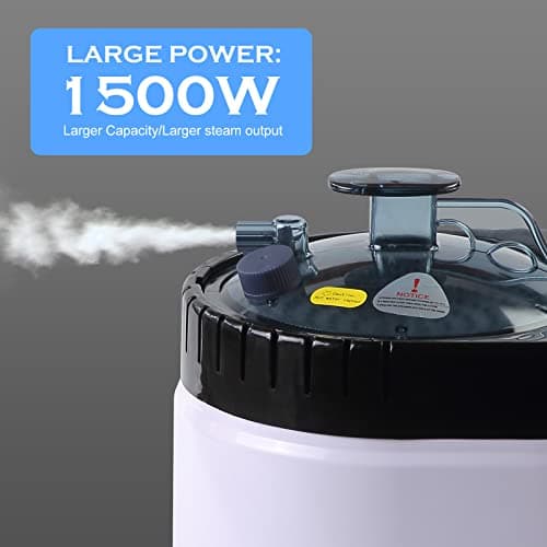 4L Large Capacity Home Sauna Steamer, Portable Steam Generator with Protection for Home Spa, Lightweight Stainless Steel Pot with Timer&Gear Display for Relaxation, with Remote Control