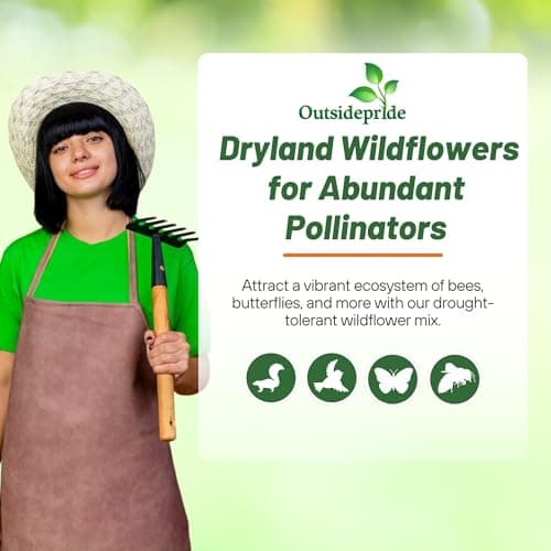 Outsidepride Dryland Wildflower Seed Mix - 1 lb. Colorful Blend of Drought Tolerant, Annual and Perennial Wildflower Seeds for Attracting Pollinators in Arid States & Xeriscapes