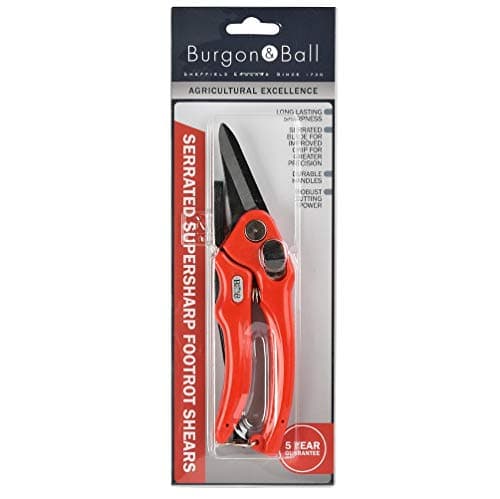Other BURGON & BALL FOOTROT SHEARS SUPERSHARP, Clear, 350 ml, BBL0038
