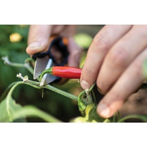 Fiskars Herb Garden Herb Scissors, 5-Inch Garden Shears, Handheld Herb Snips with Sheath and SoftGrip Handle, Dishwasher Safe