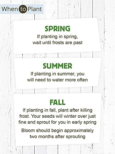 American Meadows Wildflower Seed Packets Feed The Bees'' Party Favors (Pack of 20) - Pollinator Wildflower Seed Mix to Attract Hummingbirds, Bees, and Butterflies, Party Favor for Any Occasion