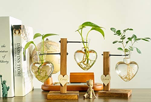 Kingbuy Hydroponic Glass Vase Vintage Desktop Plant Terrarium Planter Bulb Vase Water Planting Propagation Vase Planters Hydroponics Plants with Retro Wooden Stand Home Garden. (E（2 Heart Vase）)