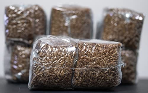 Mushroom Growing Kit with Injection Ports | Sterilized Rye Grain | Magic Indoor Grow Bags for Mushrooms | Home Cultivation Supplies | Without Spores | 1 Pound (6 Pack)