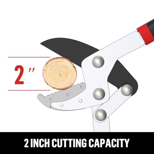 GARTOL Anvil Lopper with Compound Action 30 Inch Heavy Duty Tree Branch Cutter, 2 inch Cutting Capacity Tree Trimmer for Thick Branches Clean Cut Easy, Ergonomically Non-Slip Comfortable Handle