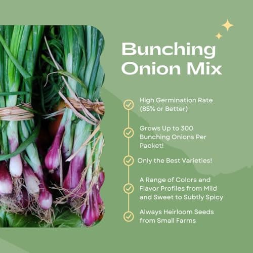 “Bunching Onion Mix” Bunching Onion Seeds – Fast-Growing Bunching Onions – Red, Long White, and Standard Green Onions in Each Pack - Harvest in 50 Days | USA Grown Heirloom Seeds By Liliana's Garden |