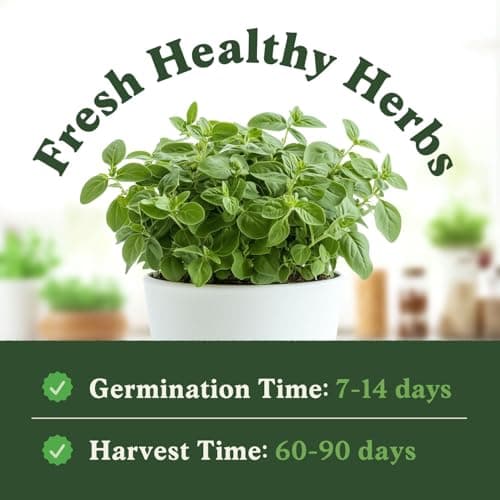 Organic Oregano Seeds for Planting Indoor and Outdoor, Non-GMO and USDA Certified Herb Seed Packet for Hydroponic Garden Indoor or Planting Outdoors (Italian Oregano)