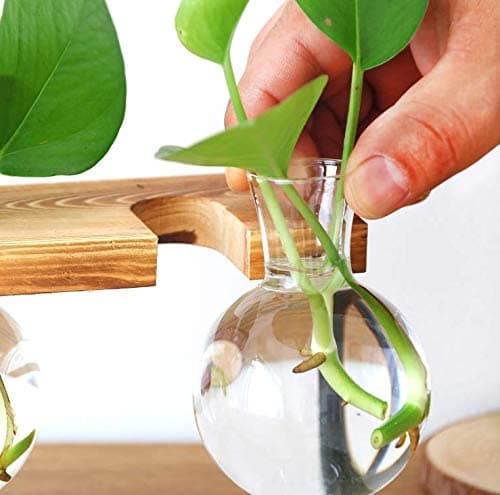 Kingbuy Bulb Forcing Vase Without Side-Hole Plant Propagation Station Air Plant Terrarium for Indoor Hydroponics Water Plants Home Office Decoration Accessories, 2 Pack