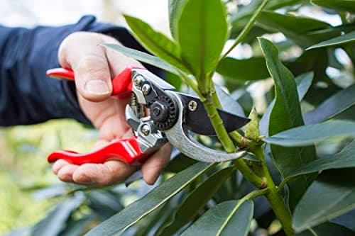 DP631 Professional Left Hand Pruner