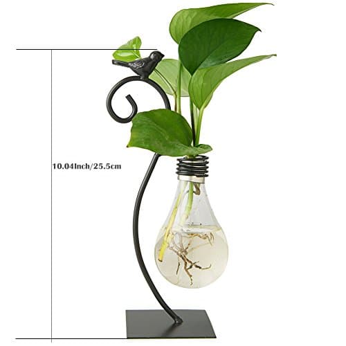 Marbrasse Desktop Glass Planter Hydroponics Vase,Planter Bulb Vase with Holder for Home Decoration,Modern Creative Bird Plant Terrarium Stand, for Plant Terrarium