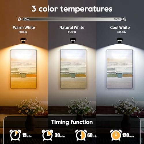 Brightown 2-Pack Picture Lights for Wall, Magnetic Art Display Picture Lights with Remote, 3 Lighting Modes Battery Operated Picture Light, Dimmable & Timer Art Wall Lights for Pictures, Black