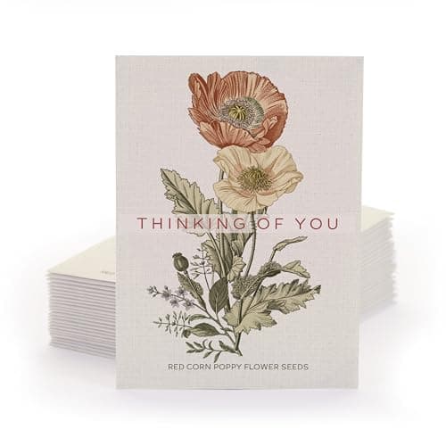 Bentley Classic Vintage Art Poppy Packets, Thinking of You Flanders Corn Seeds, Thoughtful Illustrated Flower Design, Eco-Friendly Hand Out, Sentimental Gift, 25 Pack