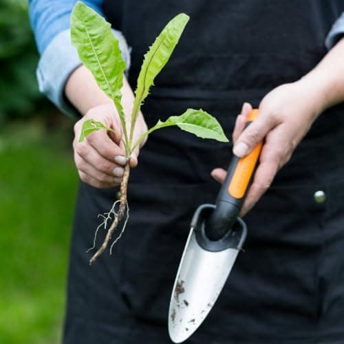 Fiskars Premium Planters Transplanter, Length 27 cm, Stainless Steel Trowel, Black/Orange, 1000727