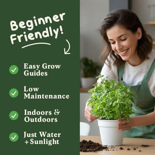 Organic Oregano Seeds for Planting Indoor and Outdoor, Non-GMO and USDA Certified Herb Seed Packet for Hydroponic Garden Indoor or Planting Outdoors (Italian Oregano)