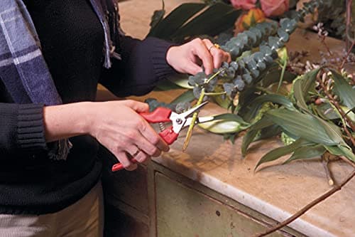 Felco Pruning Shears (F 310) - High Performance One-Hand Garden Pruners - F-310