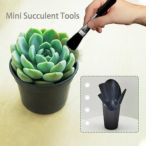 Mini Succulent Tools, 5Pc Succulent Planting Tools Kit for Indoor Planting, Succulent Gardening Tools for Digging, 2 Colors Shovel Scoop Bucket Spoon Brush Outdoor Plant Care (Black)