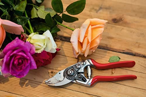 FELCO Pruning Shears (F 14) - High Performance Swiss Made One-Hand Garden Pruner with Steel Blade,Red, Silver