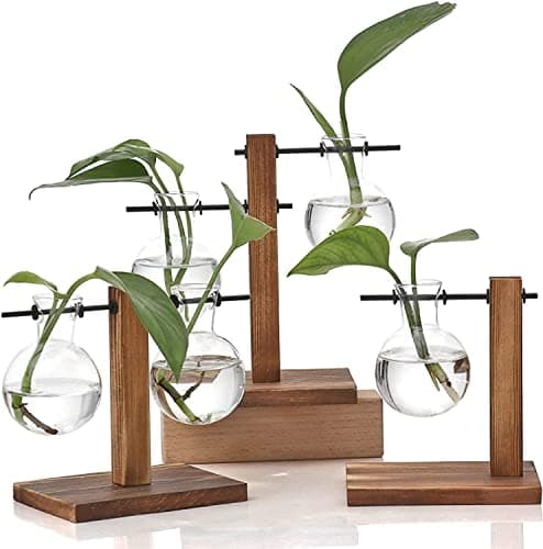Plant Terrarium with Wooden Stand, Desktop Propagation Stations Glass Air Planter Metal Swivel Holder for Indoor Live Hydroponics Plants Office Home Garden Decor (1 Bulb Vase)