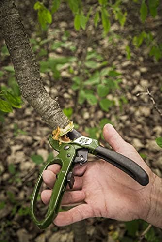 EZ Kut Heavy Duty Pruning Shears Green - with Ratcheting Action Great Garden Hand Tool Clippers Gardening pruners arthritis tools Ratcheting Anvil Hand Pruner Pruning Shears Heavy Duty Since 1988
