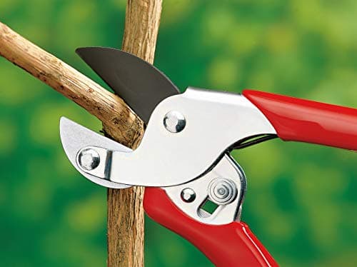 Wolf-Garten RSEN Anvil Secateurs, Red, 39.5x7.84x3 cm