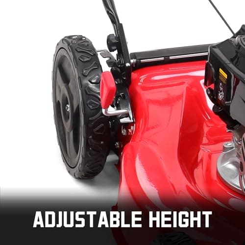 PowerSmart 21 in. Gas Lawn Mower with 125cc Briggs and Stratton E300 Engine, 2-in-1 Push Mower with Mulching & Side-Discharge