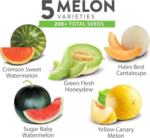 HOME GROWN Melon Seeds Variety Pack – 5 𝗡𝗢𝗡-𝗚𝗠𝗢 Heirloom Fruit Seeds: Watermelon, Cantaloupe, Honeydew, Sugar Baby & Melon – High Germination 𝗨𝗦𝗔 for Planting Home Garden Indoors.