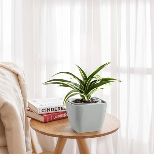 African Violet Pot Self Watering Ceramic Planter Pots, Easy Self Watering Planter for Busy Plant Lovers, Automatically Absorb Appropriate Amount of Water - Plants Not Included