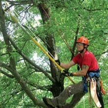 Jameson FG-6PKG-3 FG-Series Tree Pruner with Two 6-Foot Fiberglass Poles