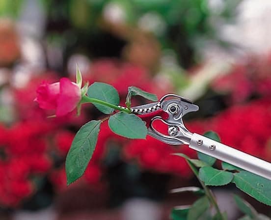 ARS Rose Pruner, 2-Foot
