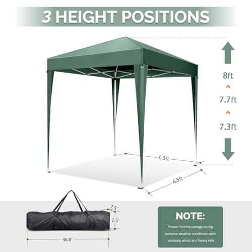 VINGLI 6.5x6.5 Pop Up Canopy Tent with Sidewalls, Outdoor Gazebo Canopy Tent, Patio Event Tents Outdoor Commercial Canopy for Parties (Green)