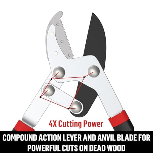 GARTOL Anvil Lopper with Compound Action 30 Inch Heavy Duty Tree Branch Cutter, 2 inch Cutting Capacity Tree Trimmer for Thick Branches Clean Cut Easy, Ergonomically Non-Slip Comfortable Handle