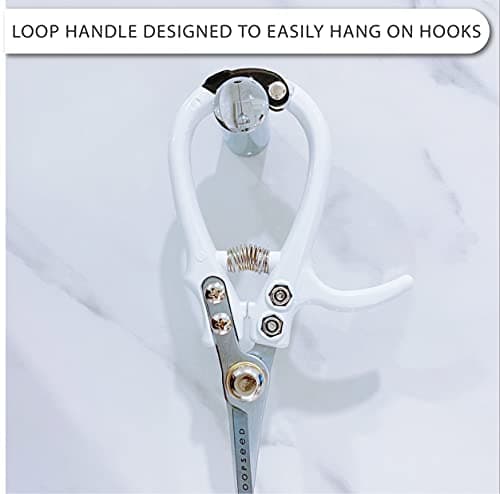 Plant Pruning Shears Garden Trimming Scissors Precision Hand Pruner Herb Snips Flower Clippers Bonsai Trimmers Straight Sharp Blade Tapered Tip Ergonomic Handle Modern Garden Tools