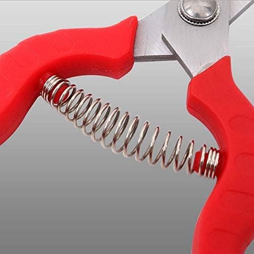 Extra Long Edge Stainless Steel Pruning Shears Fruit Trees Bonsai Sharp Garden Scissors Tool